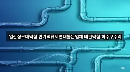 일산싱크대막힘 변기역류세면대뚫는업체 배관막힘 하수구수리