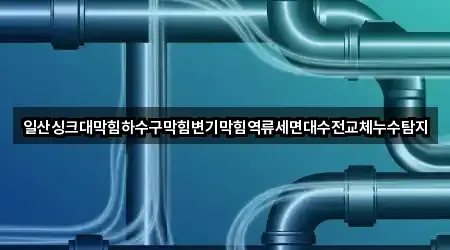 일산싱크대막힘하수구막힘변기막힘역류세면대수전교체누수탐지