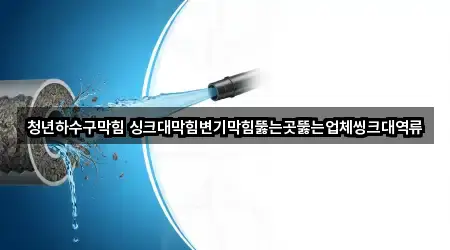 청년하수구막힘 싱크대막힘변기막힘뚫는곳뚫는업체씽크대역류