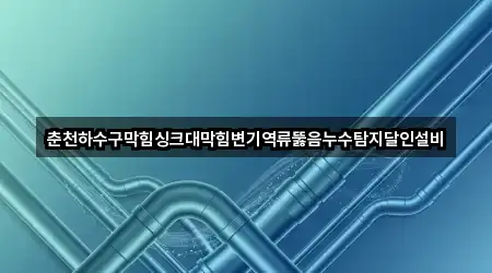 춘천하수구막힘싱크대막힘변기역류뚫음누수탐지달인설비