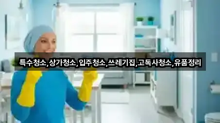 특수청소,상가청소,입주청소,쓰레기집,고독사청소,유품정리