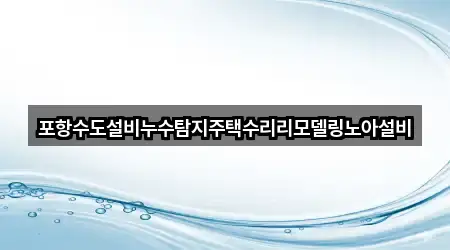 포항수도설비누수탐지주택수리리모델링노아설비