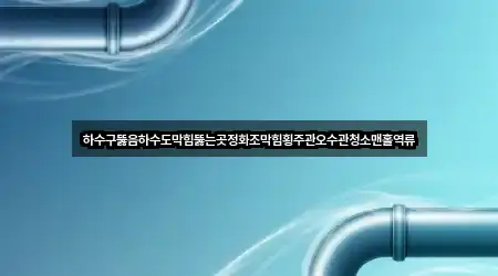 하수구뚫음하수도막힘뚫는곳정화조막힘횡주관오수관청소맨홀역류