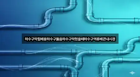 하수구막힘배용하수구뚫음하수구막혔을떼하수구역류배관내시경