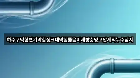 하수구막힘변기막힘싱크대막힘뚫음미세방충망고압세척누수탐지