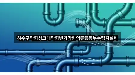 하수구막힘싱크대막힘변기막힘역류뚫음누수탐지설비