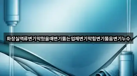 화장실역류변기막혔을때변기뚫는업체변기막힘변기뚫음변기누수