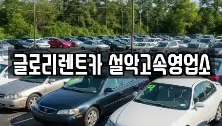 강원특별자치도 속초시 장사동 렌트카 전문 글로리렌트카 설악고속영업소