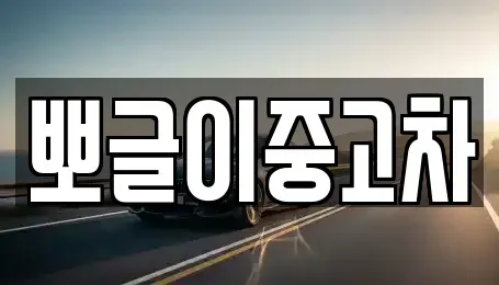 강원특별자치도 속초시 장사동 중고차 전문 뽀글이중고차