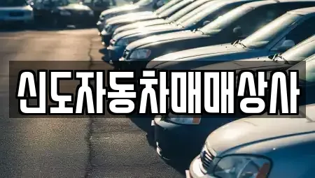 강원특별자치도 속초시 장사동 중고차 전문 신도자동차매매상사