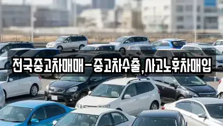 강원특별자치도 속초시 장사동 중고차 전문 전국중고차매매-중고차수출,사고노후차매입