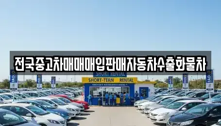 강원특별자치도 속초시 장사동 중고차 전문 전국중고차매매매입판매자동차수출화물차