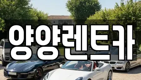 강원특별자치도 양양군 양양읍 렌트카 전문 양양렌트카