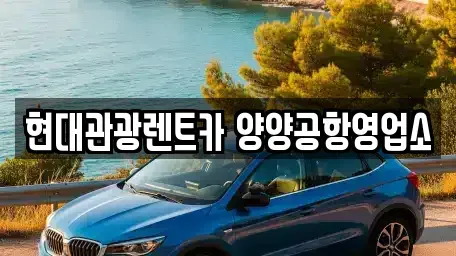 강원특별자치도 양양군 양양읍 렌트카 전문 현대관광렌트카 양양공항영업소