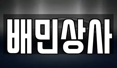 강원특별자치도 양양군 양양읍 중고차매매 전문 배민상사