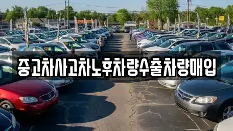 강원특별자치도 양양군 양양읍 중고차매입 전문 중고차사고차노후차량수출차량매입
