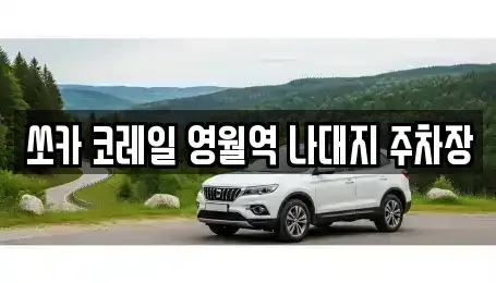 강원특별자치도 영월군 렌트카 전문 쏘카 코레일 영월역 나대지 주차장