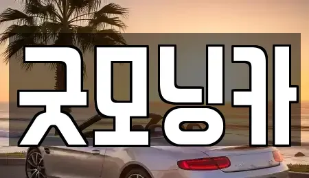 강원특별자치도 춘천시 소양로2가 중고차매매 전문 굿모닝카