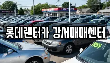 경기 고양시 덕양구 덕은동 렌트카 전문 롯데렌터카 강서매매센터