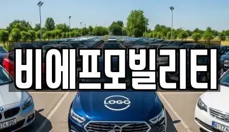 경기 고양시 덕양구 덕은동 렌트카 전문 비에프모빌리티