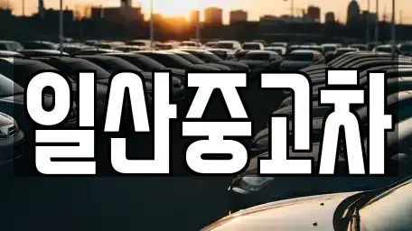 경기 고양시 덕양구 덕은동 중고차매매 전문 일산중고차