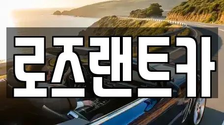 경기 성남시 수정구 심곡동 단기렌트카 전문 로즈랜트카