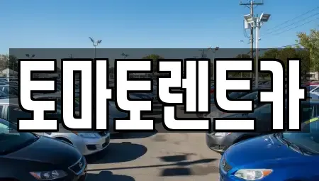 경기 성남시 수정구 심곡동 렌트카 전문 토마토렌트카