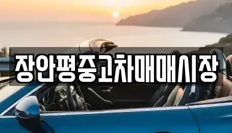 경기 성남시 수정구 심곡동 중고차 전문 장안평중고차매매시장