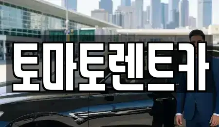 경기 성남시 중원구 금광동 렌트카 전문 토마토렌트카