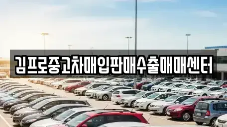 경기 성남시 중원구 금광동 중고차 전문 김프로중고차매입판매수출매매센터