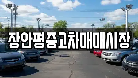 경기 성남시 중원구 금광동 중고차 전문 장안평중고차매매시장