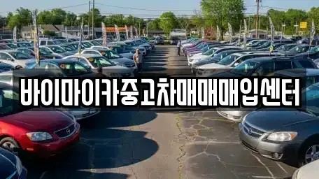 경기 성남시 중원구 금광동 중고차매입 전문 바이마이카중고차매매매입센터