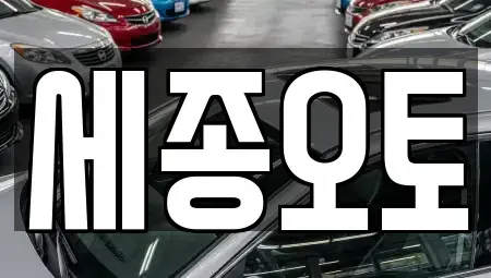 경기 수원시 권선구 서둔동 렌트카 전문 세종오토