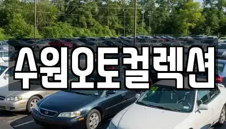 경기 수원시 권선구 서둔동 중고차매매 전문 수원오토컬렉션