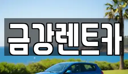 경기 수원시 장안구 천천동 렌트카 전문 금강렌트카