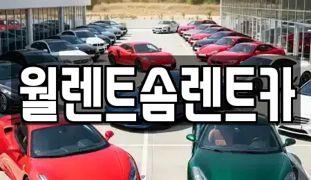 경기 수원시 장안구 천천동 렌트카 전문 월렌트솜렌트카