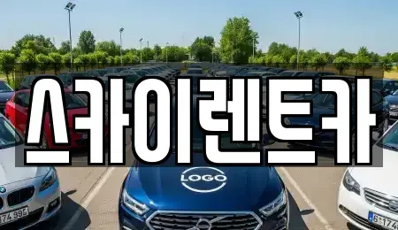 경기 수원시 장안구 천천동 장기렌트카 전문 스카이렌트카