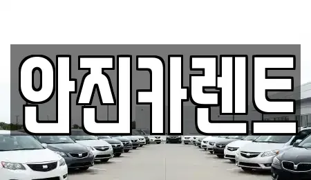 경기 수원시 장안구 천천동 장기렌트카 전문 안진카렌트