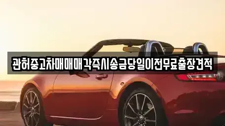 경기 수원시 장안구 천천동 중고차매매 전문 관허중고차매매매각즉시송금당일이전무료출장견적