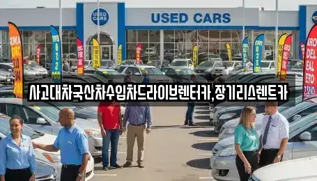 경기 시흥시 물왕동 렌트카 전문 사고대차국산차수입차드라이브렌터카,장기리스렌트카