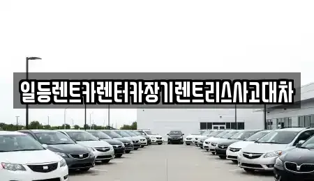 경기 시흥시 물왕동 렌트카 전문 일등렌트카렌터카장기렌트리스사고대차