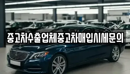 경기 시흥시 물왕동 단기렌트카,중고차매입,중고차매매,중고차,렌트카,장기렌트카