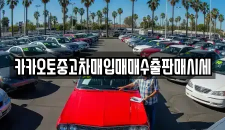 경기 시흥시 물왕동 중고차매입 전문 카카오토중고차매입매매수출판매시세