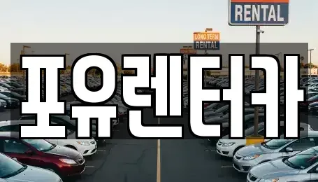경기 용인시 기흥구 영덕동 장기렌트카 전문 포유렌터카