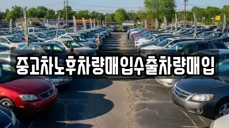 경기 용인시 기흥구 영덕동 중고차매입 전문 중고차노후차량매입수출차량매입