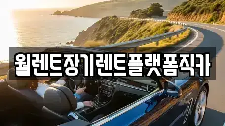 경기도 광주시 태전동 장기렌트카 전문 월렌트장기렌트플랫폼직카