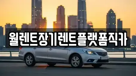 경기도 동두천시 걸산동 렌트카 전문 월렌트장기렌트플랫폼직카