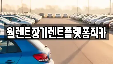 경기도 안성시 창전동 렌트카 전문 월렌트장기렌트플랫폼직카