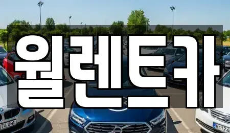 경기도 안성시 창전동 렌트카 전문 월렌트카