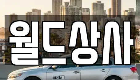 경기도 안성시 창전동 중고차매매 전문 월드상사